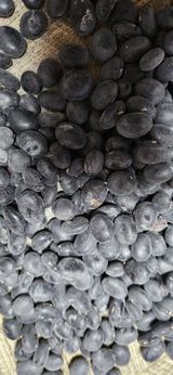 팜모닝 · 게시글 이미지