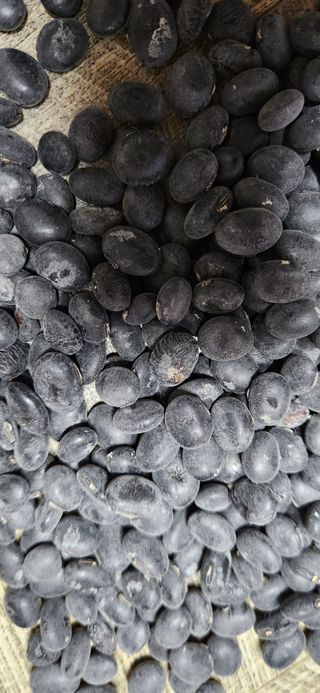 나이스가이1님의 작성글 사진