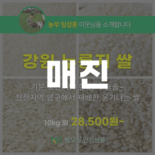 팜모닝 장터님의 장터이야기 · 공지 작성글 사진