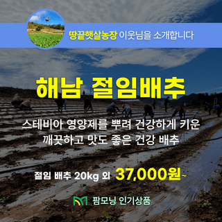 팜모닝 장터님의 장터이야기 · 공지 작성글 사진
