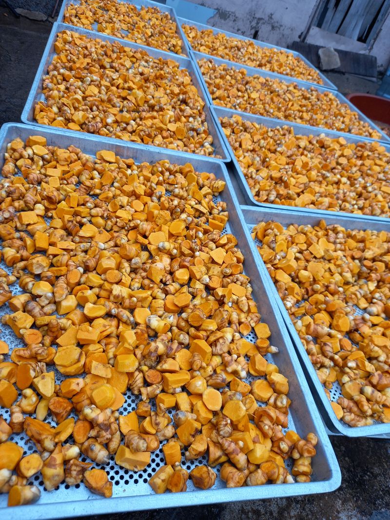 강헌구님의 장터 판매 상품 [강황분말  500g] 첨부 사진