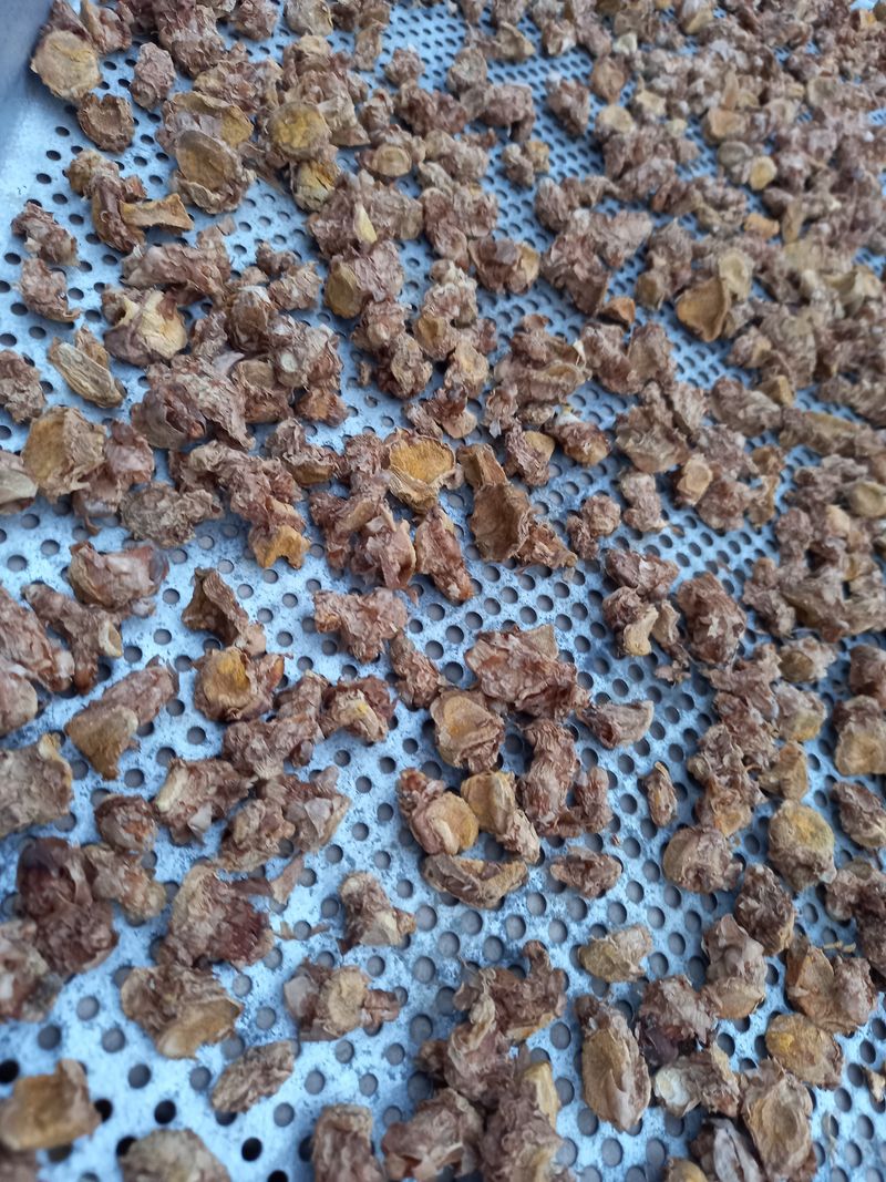 강헌구님의 장터 판매 상품 [강황분말  500g] 첨부 사진