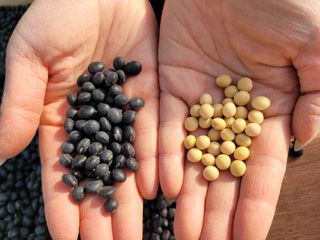 이은호님의 작성글 사진