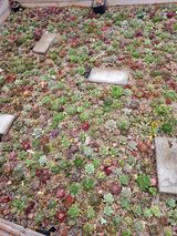 팜모닝 2024년 농사 계획은?·참여글 게시글 이미지