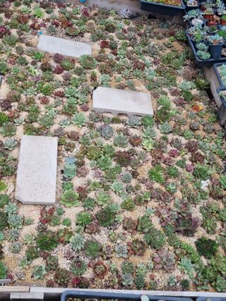 육이사랑님의 2024년 농사 계획은? · 참여글 작성글 사진