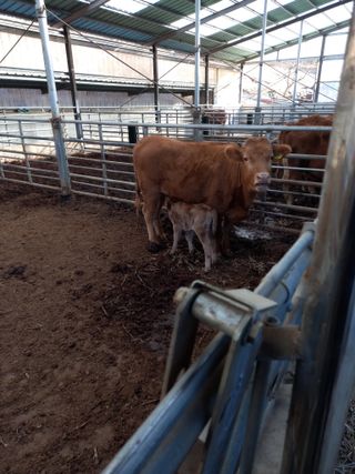 배추19087님의 2024년 농사 계획은? · 참여글 작성글 사진