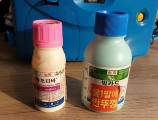 육이사랑님의 기타작물 · 병해충상담 작성글 사진