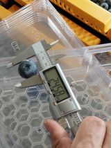 팜모닝 블루베리·자유게시판 게시글 이미지