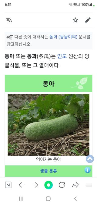 대파1462 김보환님의 농사, 무엇이든 물어보세요! · 참여글 작성글 사진