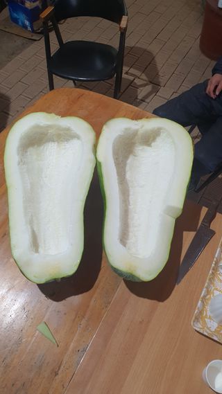 대파1462 김보환님의 농사, 무엇이든 물어보세요! · 참여글 작성글 사진