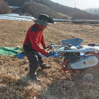 박진하님의 콩 · 자유게시판 작성글 사진
