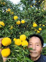 팜모닝 2024년 농사 계획은?·참여글 게시글 이미지