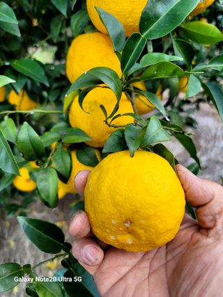 일오삼농원님의 2024년 농사 계획은? · 참여글 작성글 사진