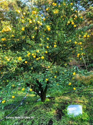 일오삼농원님의 2024년 농사 계획은? · 참여글 작성글 사진