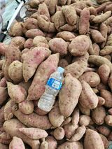 팜모닝 2024년 농사 계획은?·참여글 게시글 이미지