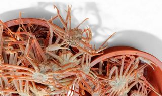 노가네수산님의 장터이야기 · 자유게시판 작성글 사진