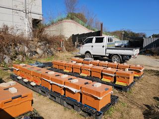 춘천바람개비님의 2024년 농사 계획은? · 참여글 작성글 사진