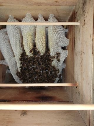 춘천바람개비님의 2024년 농사 계획은? · 참여글 작성글 사진