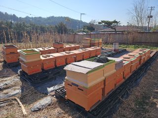 춘천바람개비님의 2024년 농사 계획은? · 참여글 작성글 사진