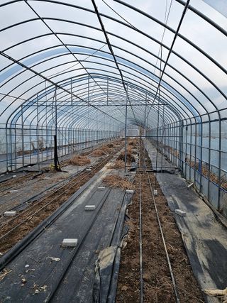 춘천바람개비님의 2024년 농사 계획은? · 참여글 작성글 사진