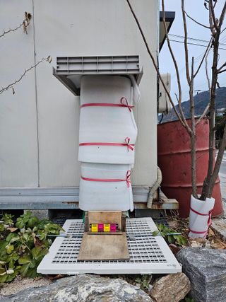 춘천바람개비님의 2024년 농사 계획은? · 참여글 작성글 사진