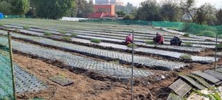 신철승님의 2024년 농사 계획은? · 참여글 작성글 사진