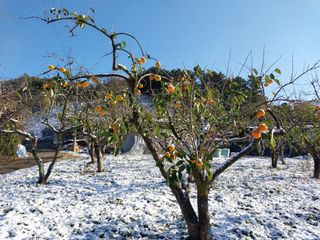 홍재두51년생님의 2024년 농사 계획은? · 참여글 작성글 사진