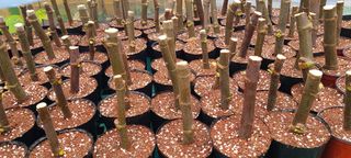 정오농장님의 자유주제 · 자유게시판 작성글 사진