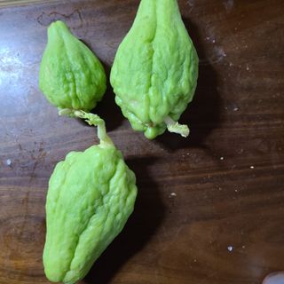 knlee님의 2024년 농사 계획은? · 참여글 작성글 사진