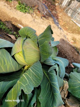 이윤미님의 자유주제 · 자유게시판 작성글 사진