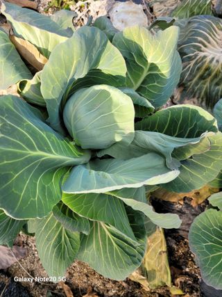 이윤미님의 자유주제 · 자유게시판 작성글 사진