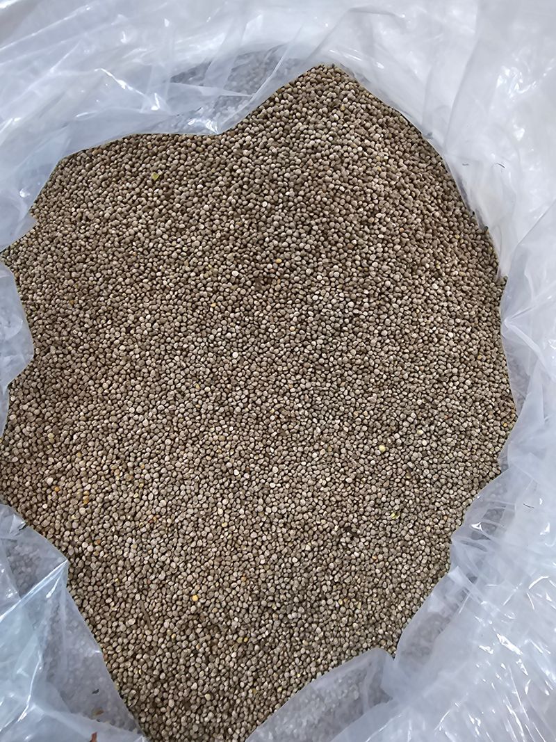 장터 상품 [23년 영월햇들깨5KG] 썸네일