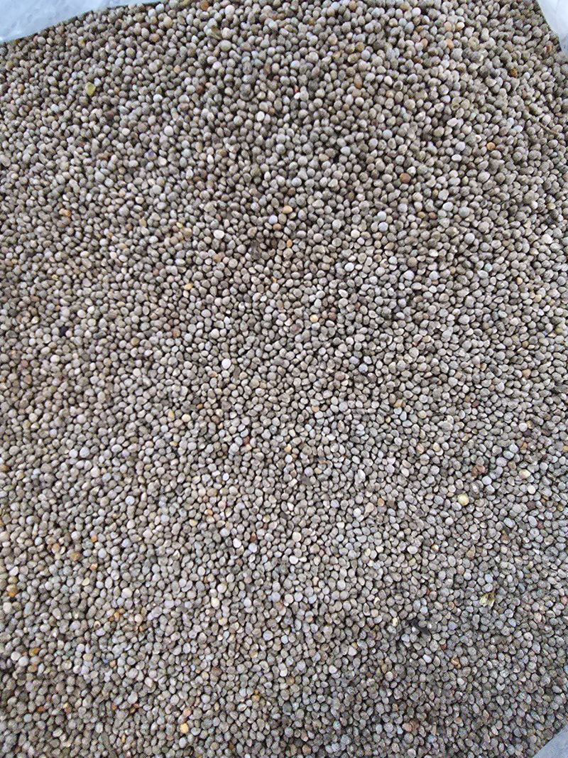 윤유나님의 장터 판매 상품 [23년 영월햇들깨5KG] 첨부 사진