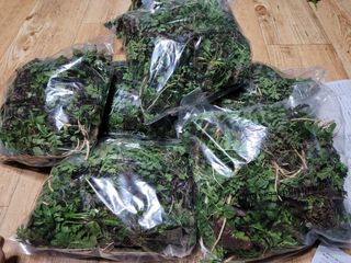 다소농원님의 자유주제 · 자유게시판 작성글 사진