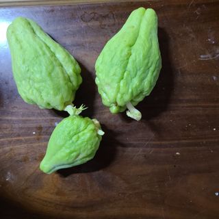 knlee님의 농사, 무엇이든 물어보세요! · 참여글 작성글 사진