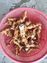 팜모닝 2024년 농사 계획은?·참여글 게시글 이미지