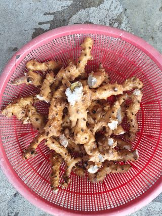 저금통님의 2024년 농사 계획은? · 참여글 작성글 사진