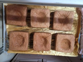 다소농원님의 자유주제 · 자유게시판 작성글 사진