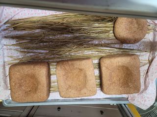 다소농원님의 자유주제 · 자유게시판 작성글 사진