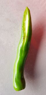 팜모닝 팜모닝·출석 게시글 이미지