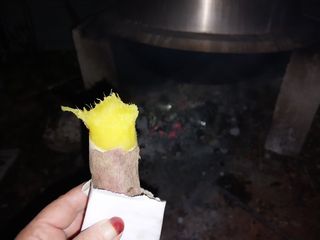 금동이네님의 고구마 · 자유게시판 작성글 사진