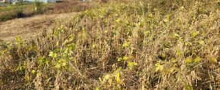 조미숙님의 2024년 농사 계획은? · 참여글 작성글 사진