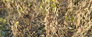 조미숙님의 2024년 농사 계획은? · 참여글 작성글 사진