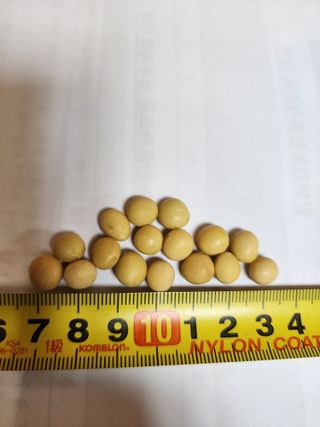 농부 임성훈님의 작성글 사진