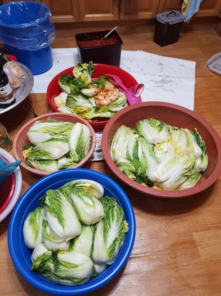 옥이네님의 2024년 농사 계획은? · 참여글 작성글 사진