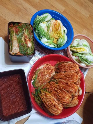 옥이네님의 2024년 농사 계획은? · 참여글 작성글 사진