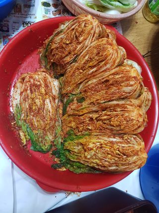 옥이네님의 2024년 농사 계획은? · 참여글 작성글 사진