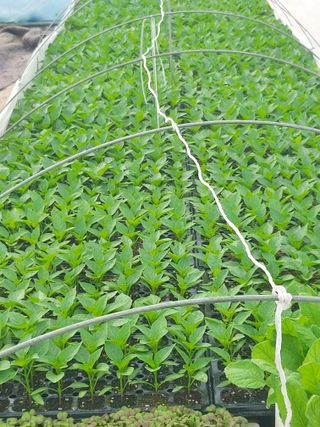 임영택님의 2024년 농사 계획은? · 참여글 작성글 사진