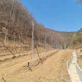 팜모닝 농사, 무엇이든 물어보세요!·참여글 게시글 이미지
