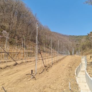 강병학님의 농사, 무엇이든 물어보세요! · 참여글 작성글 사진